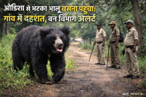ओडिशा से भटका भालू बसना पहुंचा